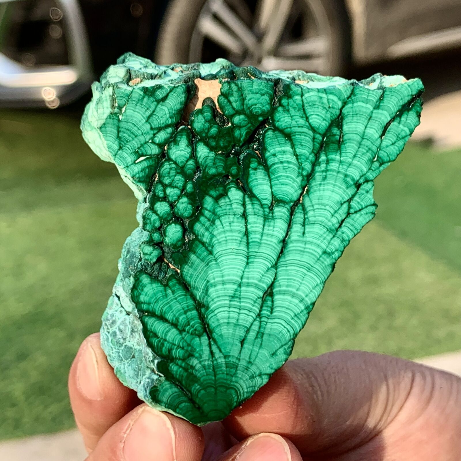 112G Natural Malachite transparent cluster coarse  mineral flaky sample