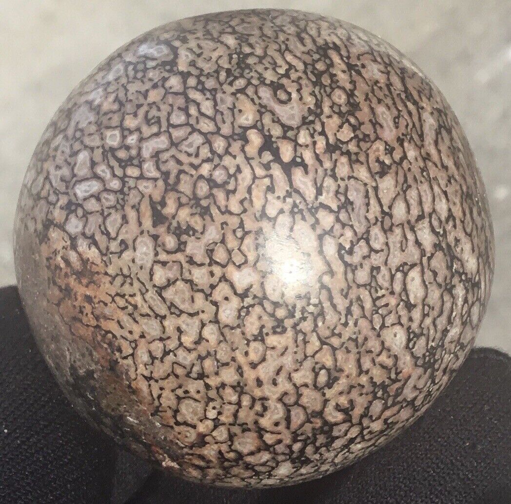 4.4 Oz Polished Agatized Dinosaur Bone Sphere Crystal Ball Fossil Red Cells