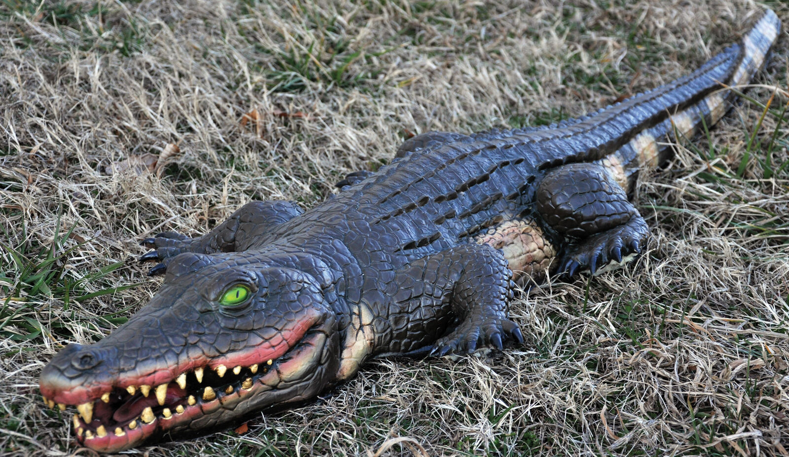 Fake Alligator Prop 4 Feet Long Crocodile Swamp Halloween Decoration