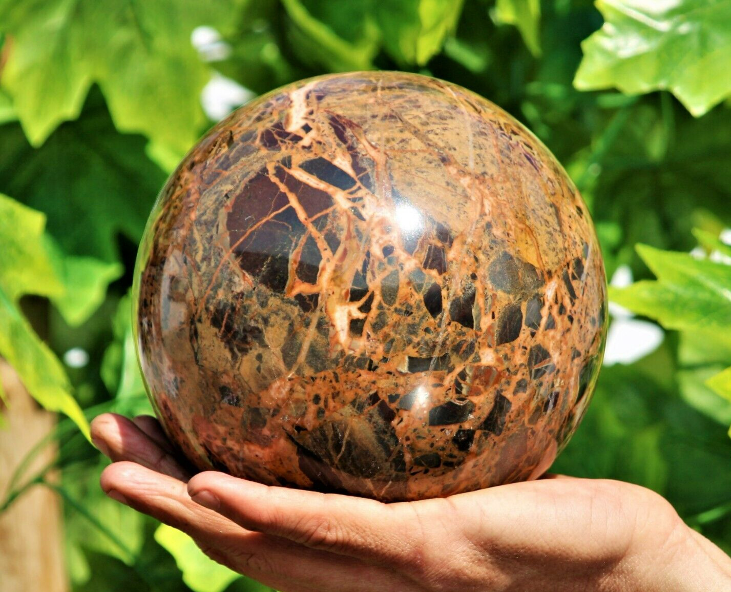 Superb 145MM Brown Brecciated Jasper Crystal Healing Energy Stone Sphere Globe
