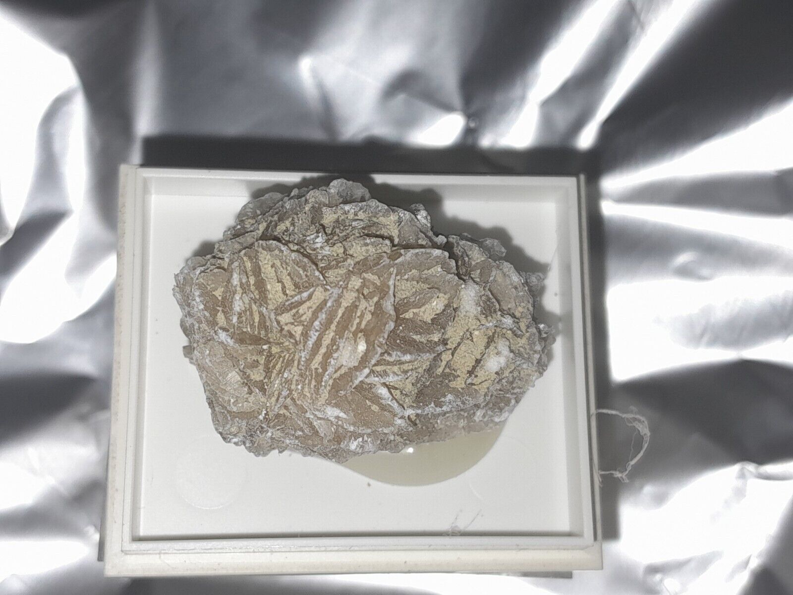 GYPSUM Variety desert☆ROSE ☆VERY RARE Piece from Mexico in a ☆☆Display CASE☆☆