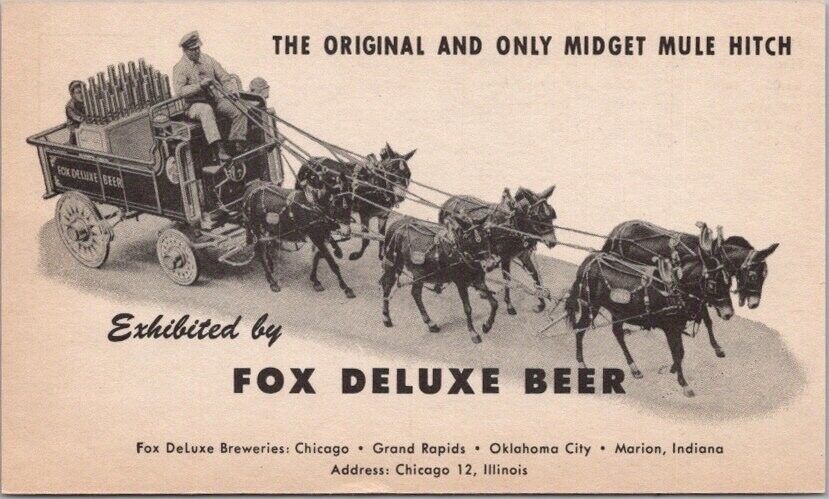 Vintage FOX DELUXE BREWING CO. Advertising Postcard \