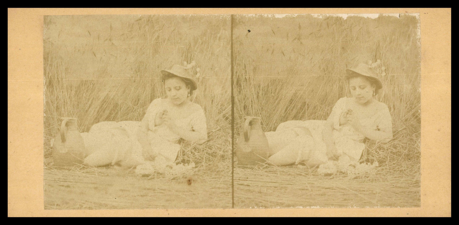 Woman in a Field Neckline, ca.1880, Stereo Vintage Print Stereo, Legend