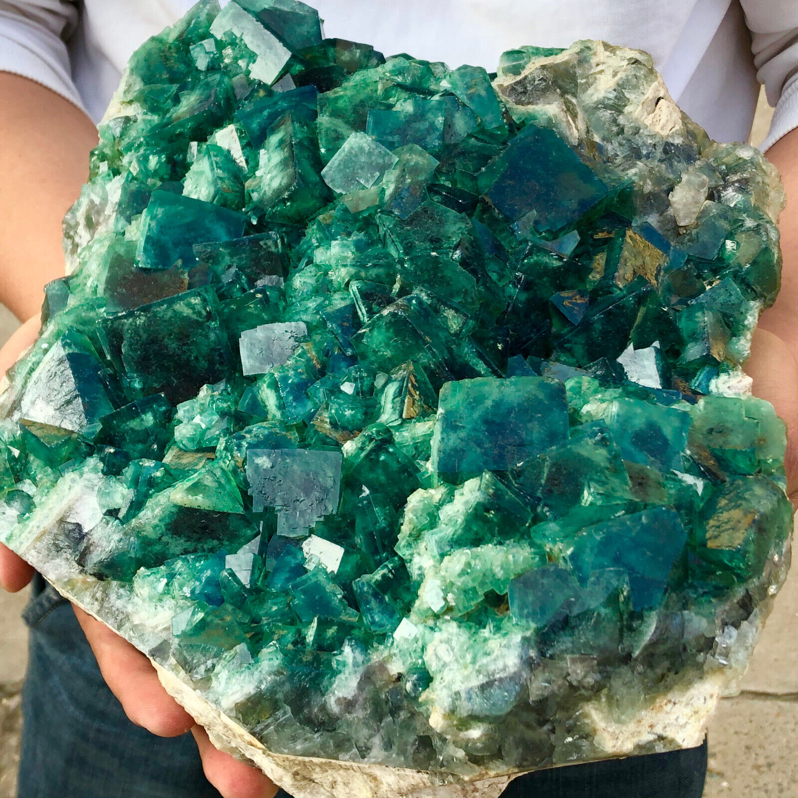 25.91lb Natural Green cubic Fluorite Crystal Cluster mineral sample healing