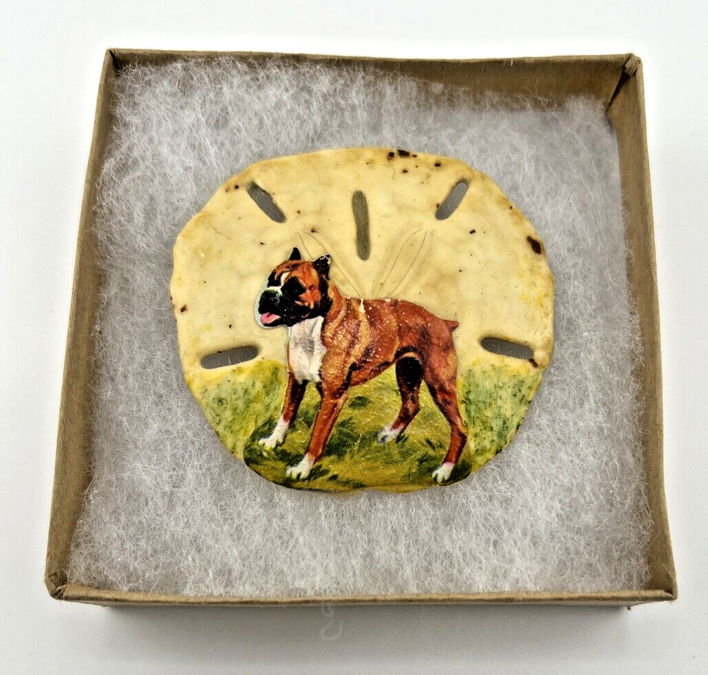 Vintage Hand Painted Sand Dollar with Boxer Dog on green grass