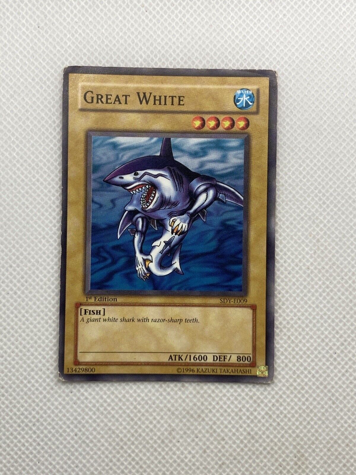 GREAT WHITE - SDY-011 - Common  - 1st Edition