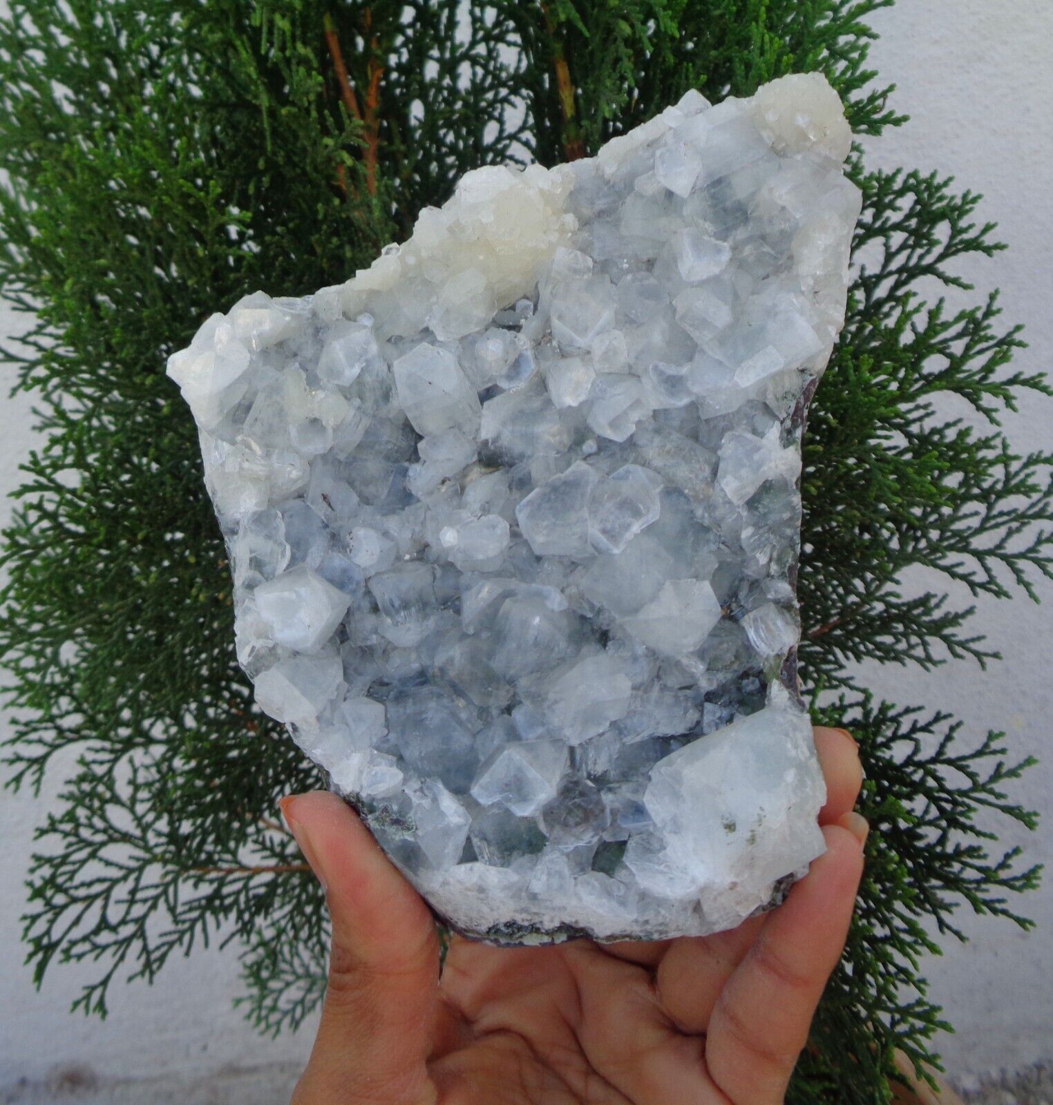 Apophyllite Crystal w/ Stilbite On Matrix Minerals Specimen#F23