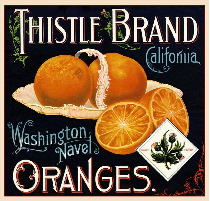Riverside Thistle #1 Orange Citrus Fruit Crate Label Art Print