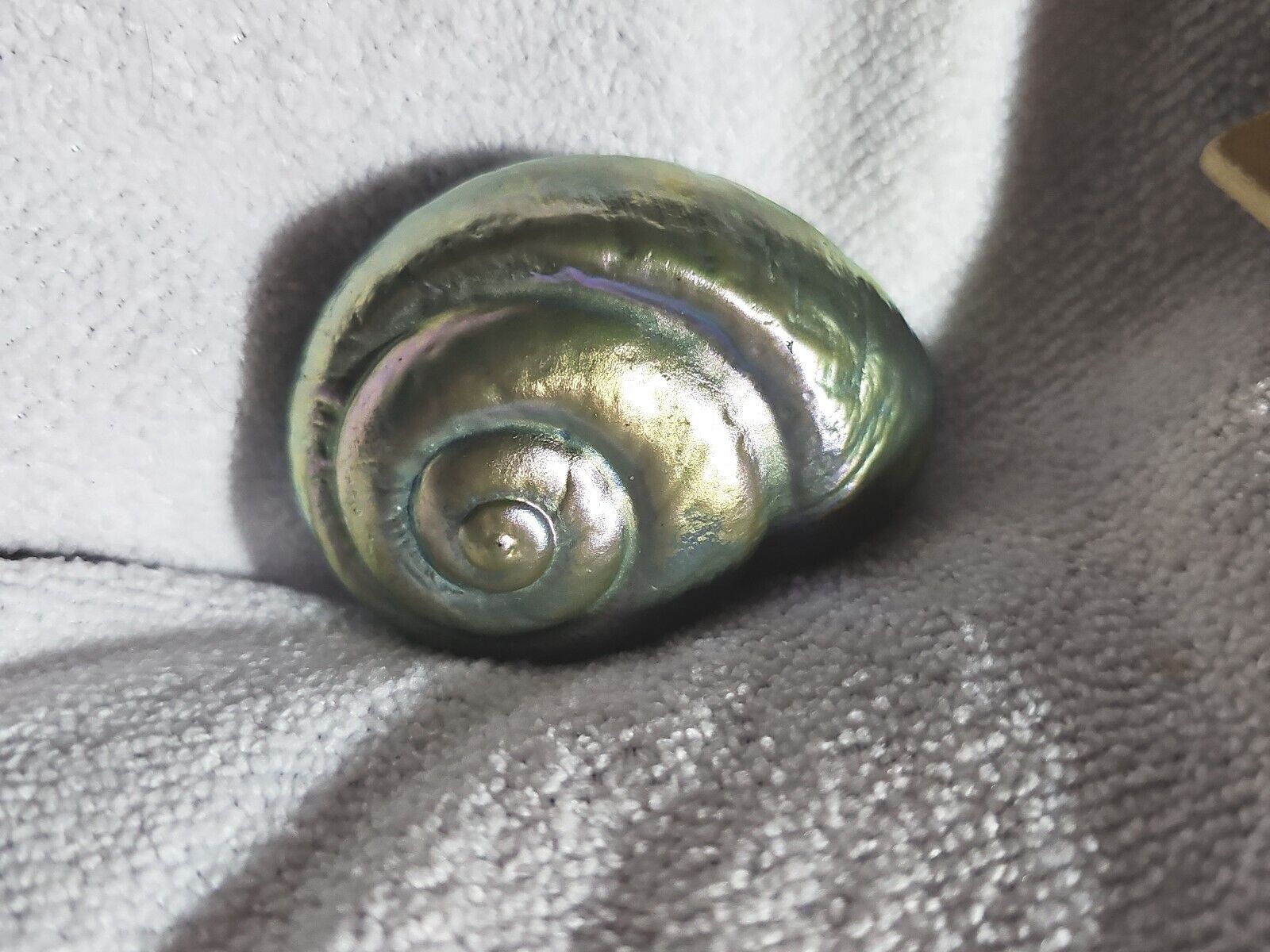 Nautilus Shell Paperweight Luster Iridescent Silver 2.5 Inches