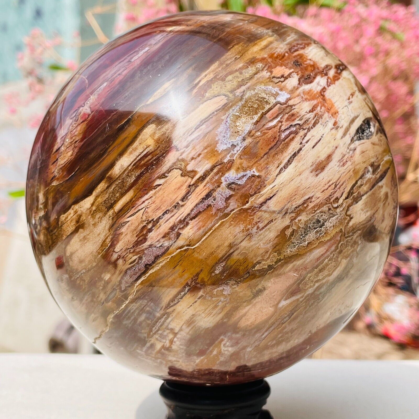 5.99lb Large Natural Petrified Wood Crystal Fossil Sphere Specimen Healing