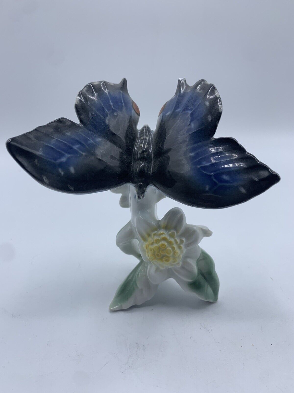 Vintage Gerold Porzellan Bavarian Butterfly