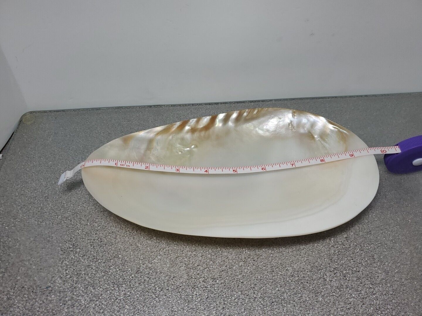 Mother Of Pearl Sea Shell Footed Tray Plate Caviar
