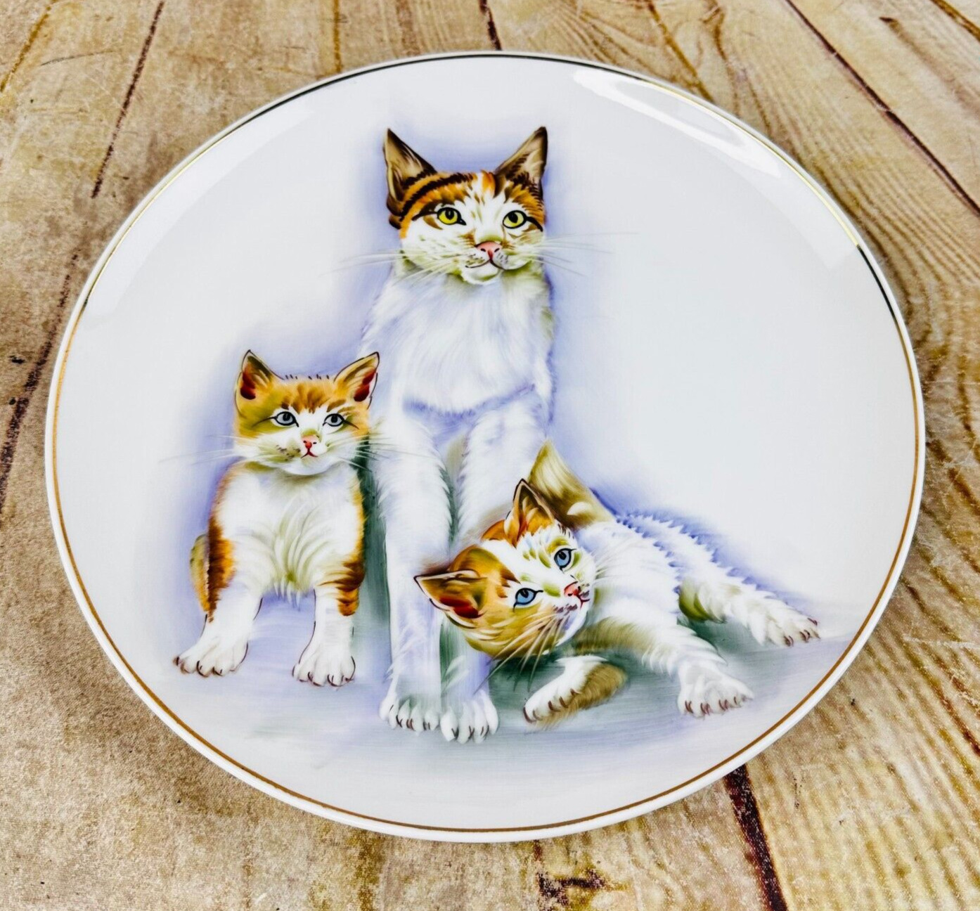 vtg norcrest collector plate Cat family kittens 10\
