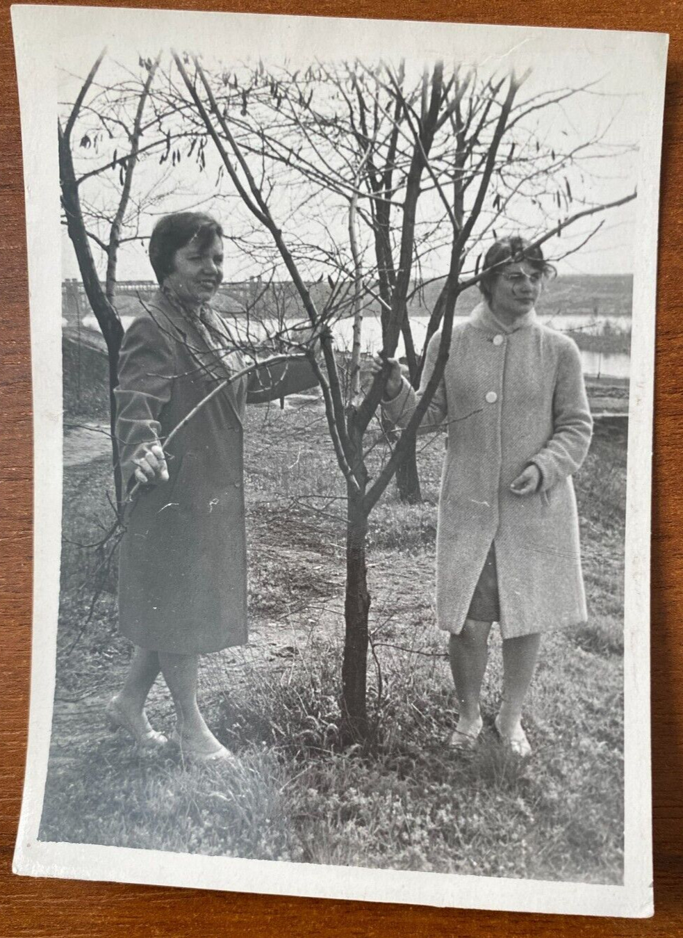 Beautiful Soviet young women near tree Vintage photo