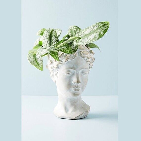 Grecian Bust Vase Planter Greek Romantic Flower Home Decor | Cement Planter