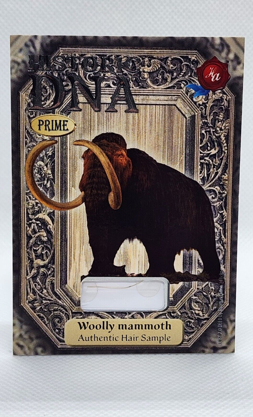 2024 Historic Autograph Company Historic DNA Woolly Mammoth Authentic Hair...