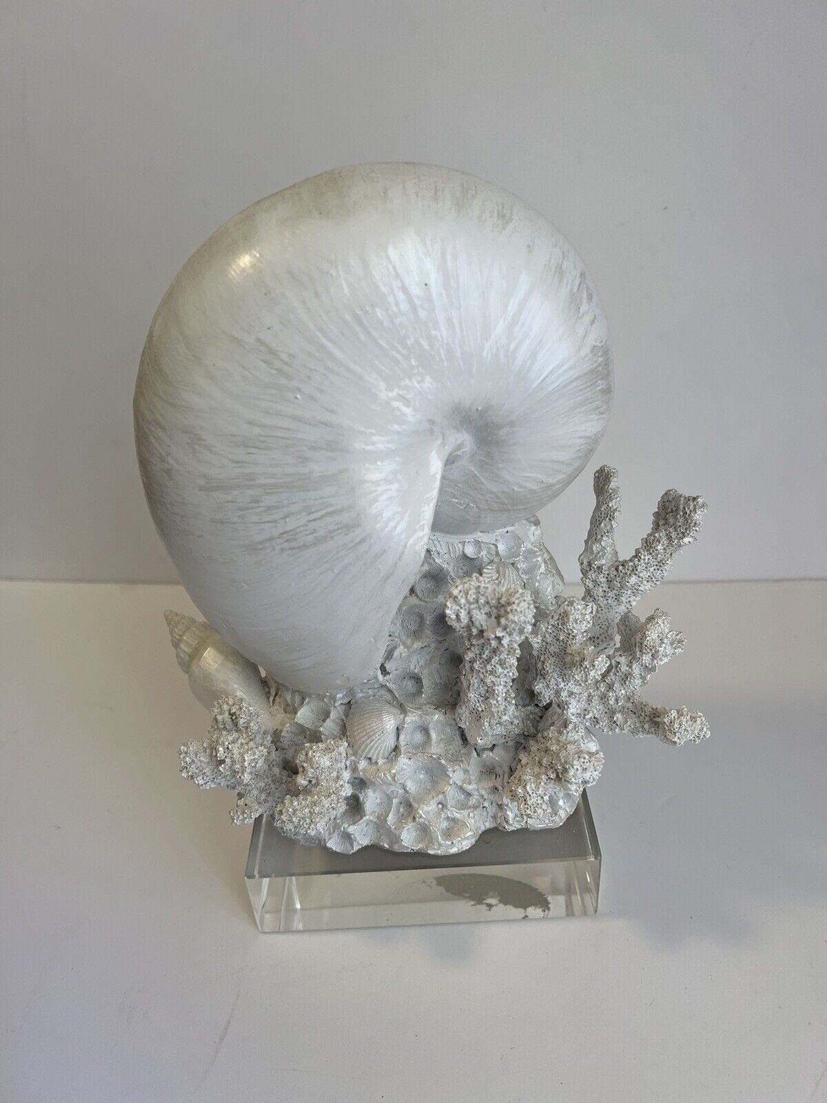 Nautilus Shell And Coral Statue Beautiful All White Unique Art Piece