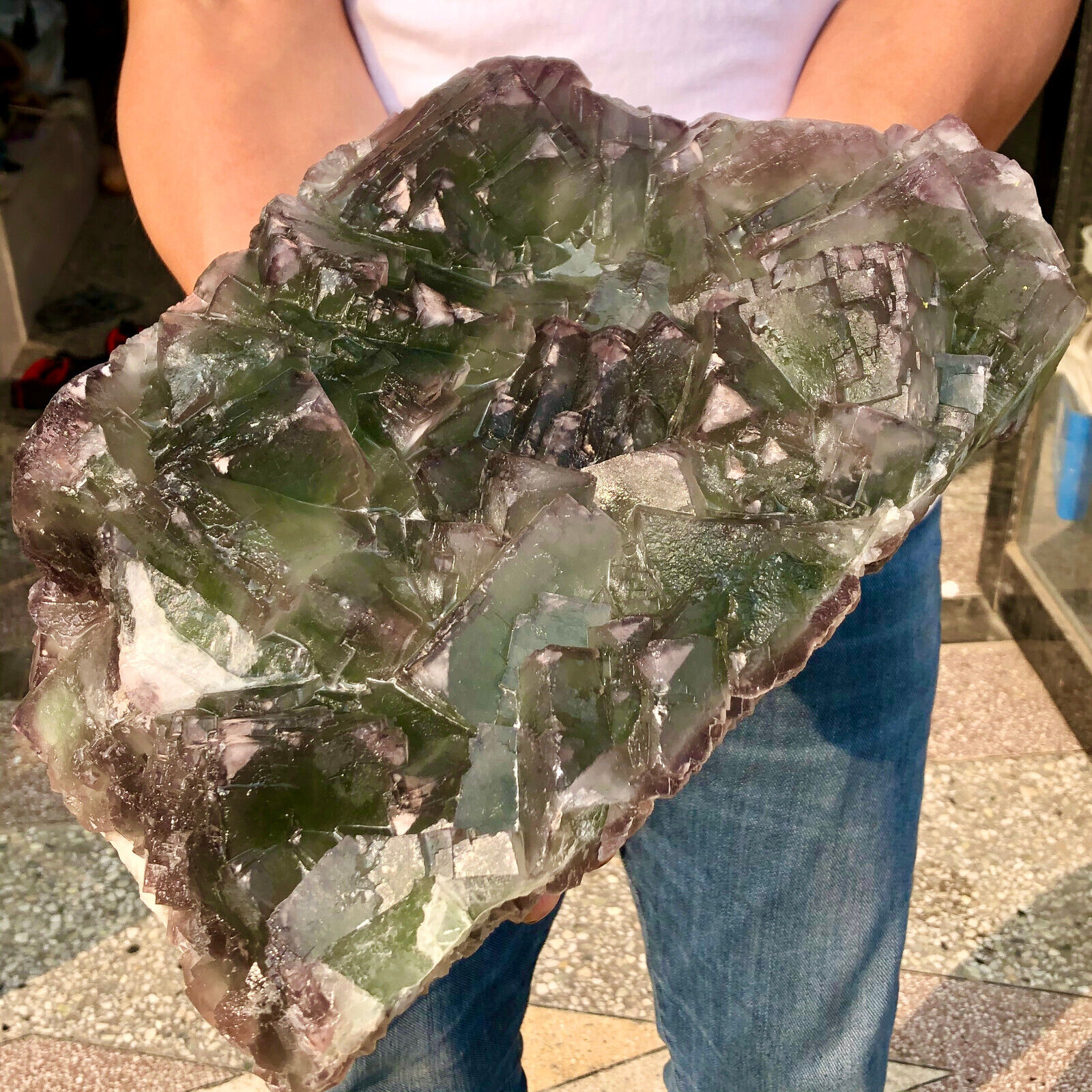23.67lb Natural cubic Fluorite Crystal Cluster mineral sample healing