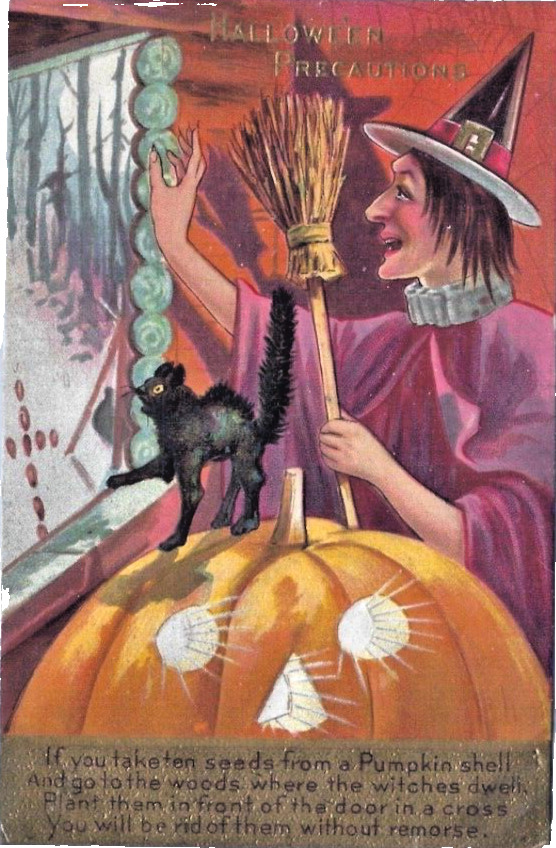 1909 Witch Jack O'Lantern Bat Black Cat Halloween Precautions Postcard Nash No 2