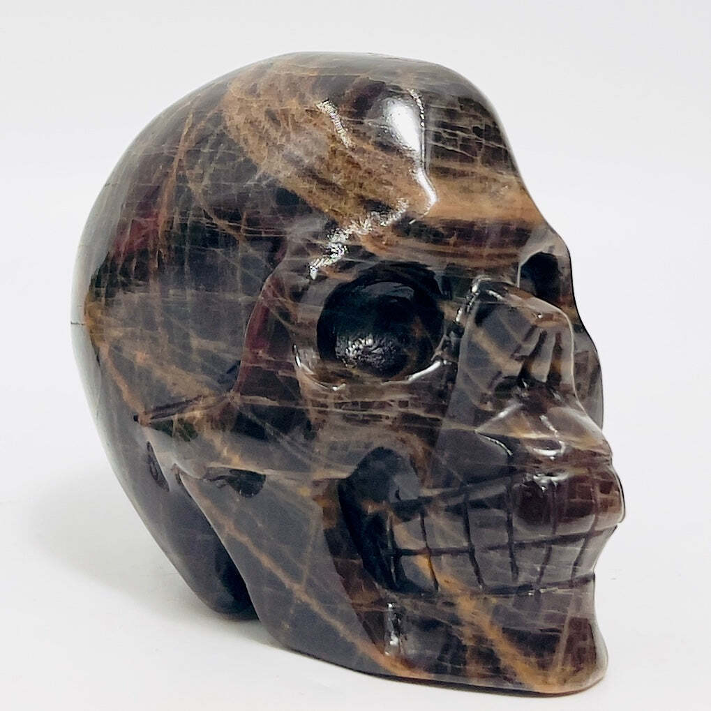Black Moonstone Skull Healing Crystal Carving 738g