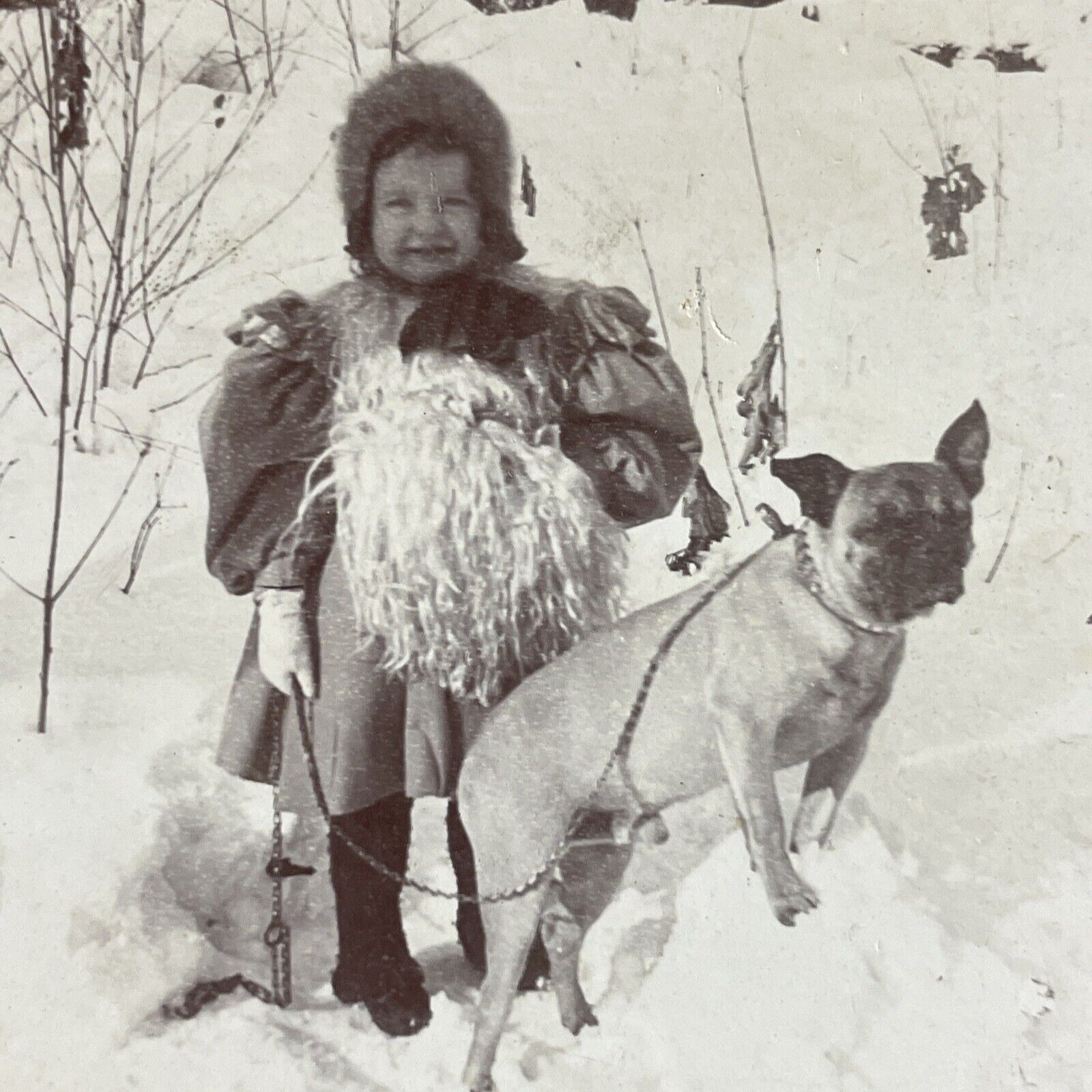Antique 1898 Young Girl With Pug Dog In Deep Snow Stereoview Photo Card P4076