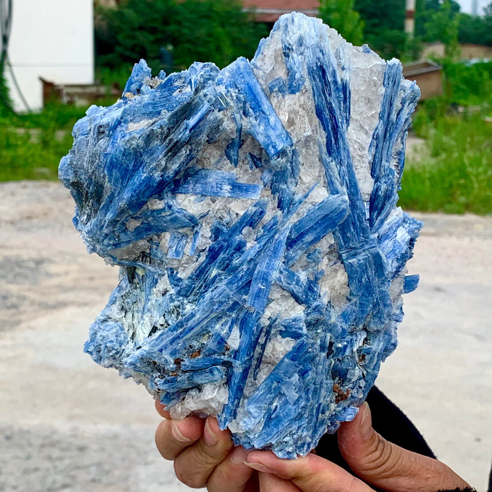4.84LB Rare Natural beautiful Blue KYANITE with Quartz Crystal Specimen Rough