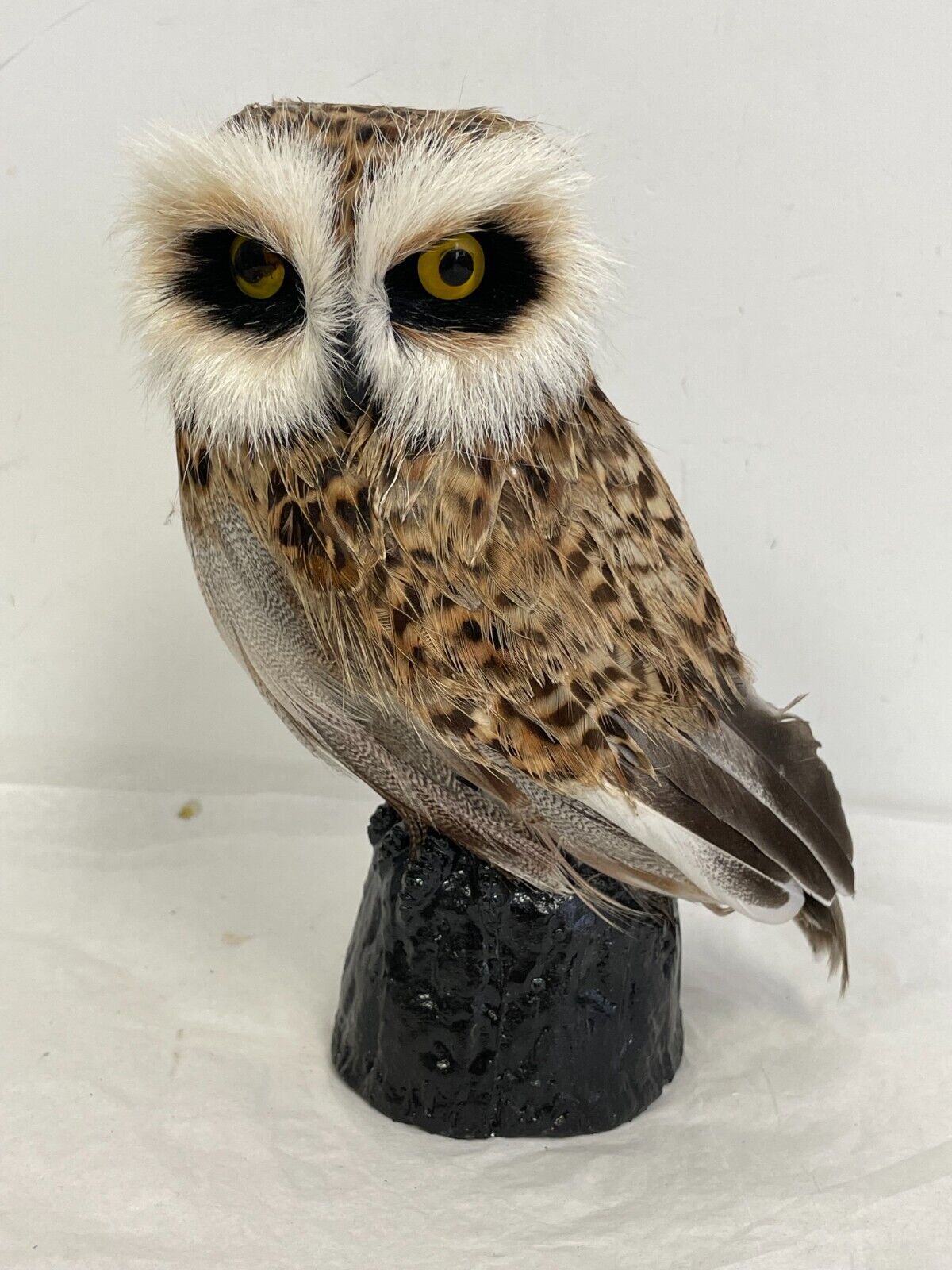 Realistic Woodland Owl Figurine Lightweight Body Covered w/Real Feathers