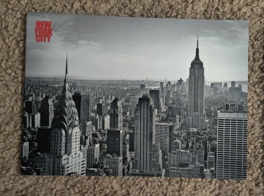 LOT of BRAND NEW New York NY NYC Postcard 5