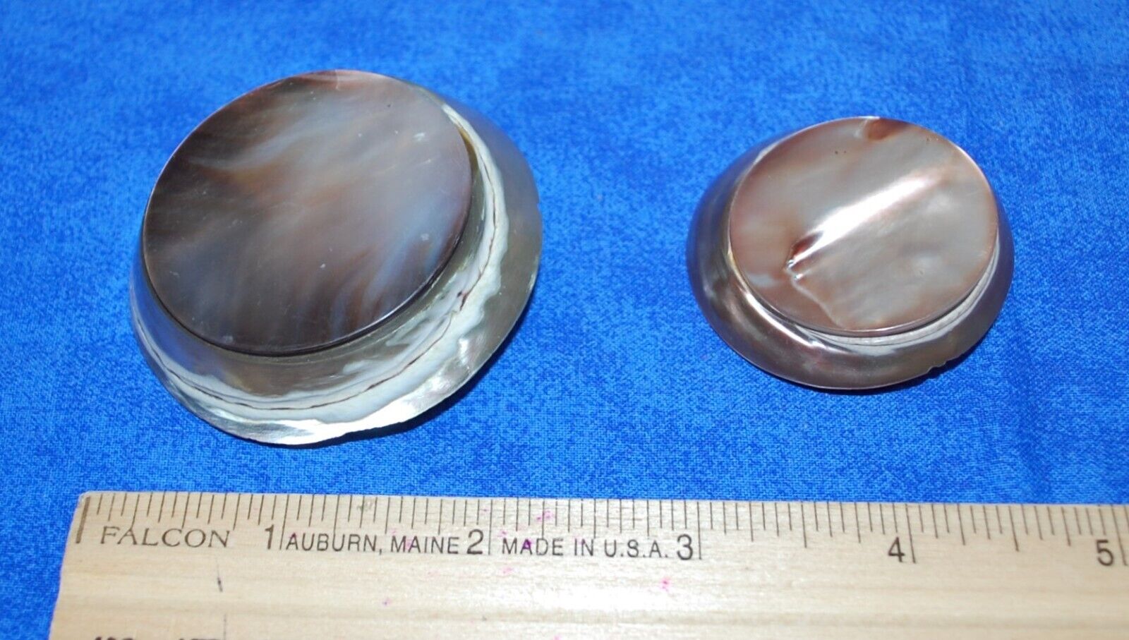 2 - Unique Vintage Abalone Shell Buttons  2 1/4\
