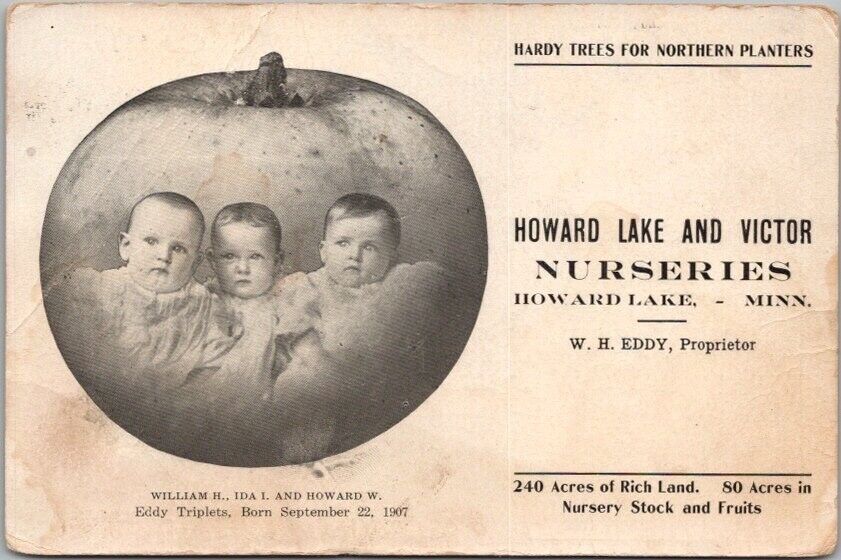 Vintage 1907 Minnesota Advertising Postcard \