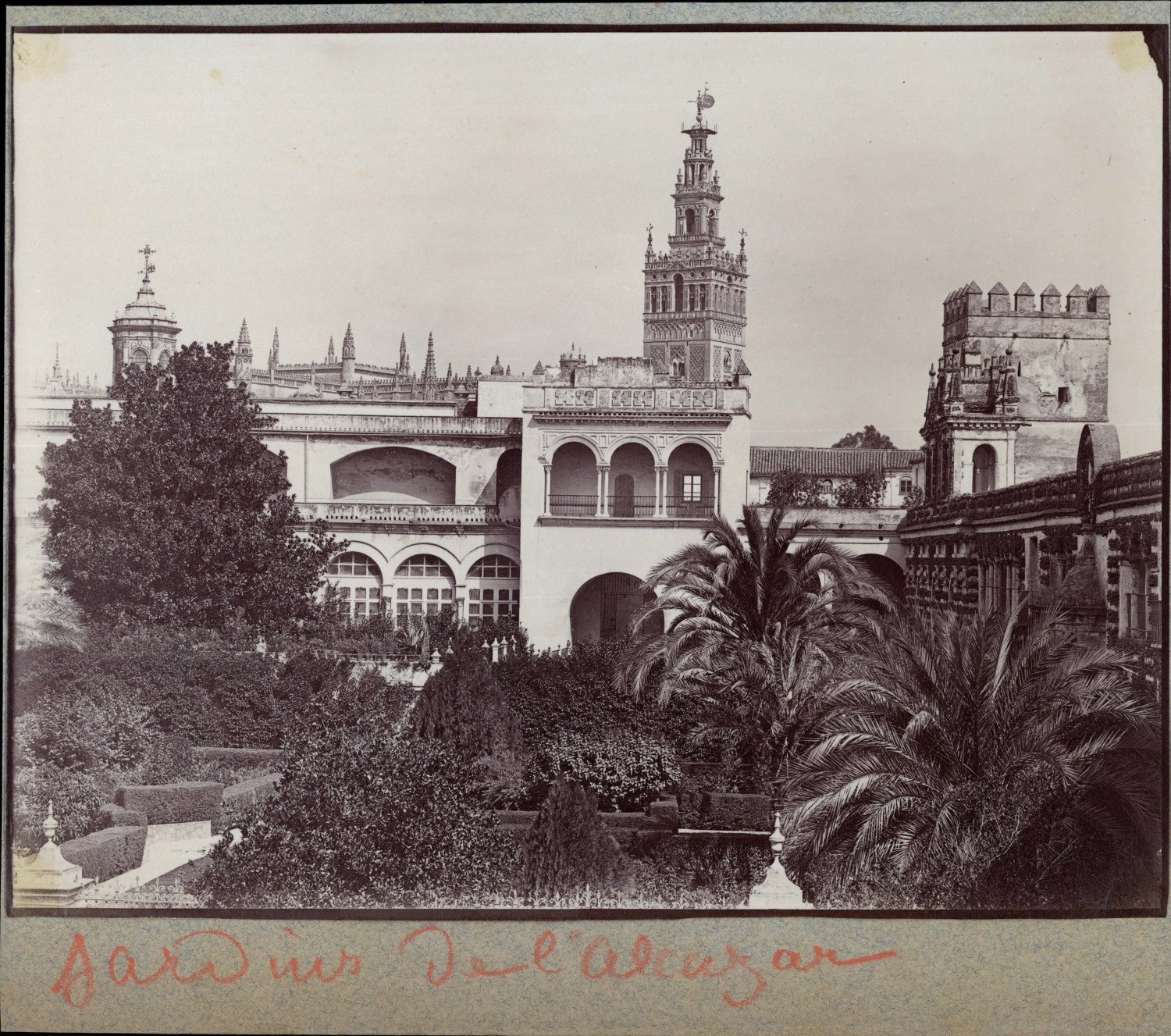 Spain, Seville, Alcázar Garden, ca.1880, vintage albumin print shooting