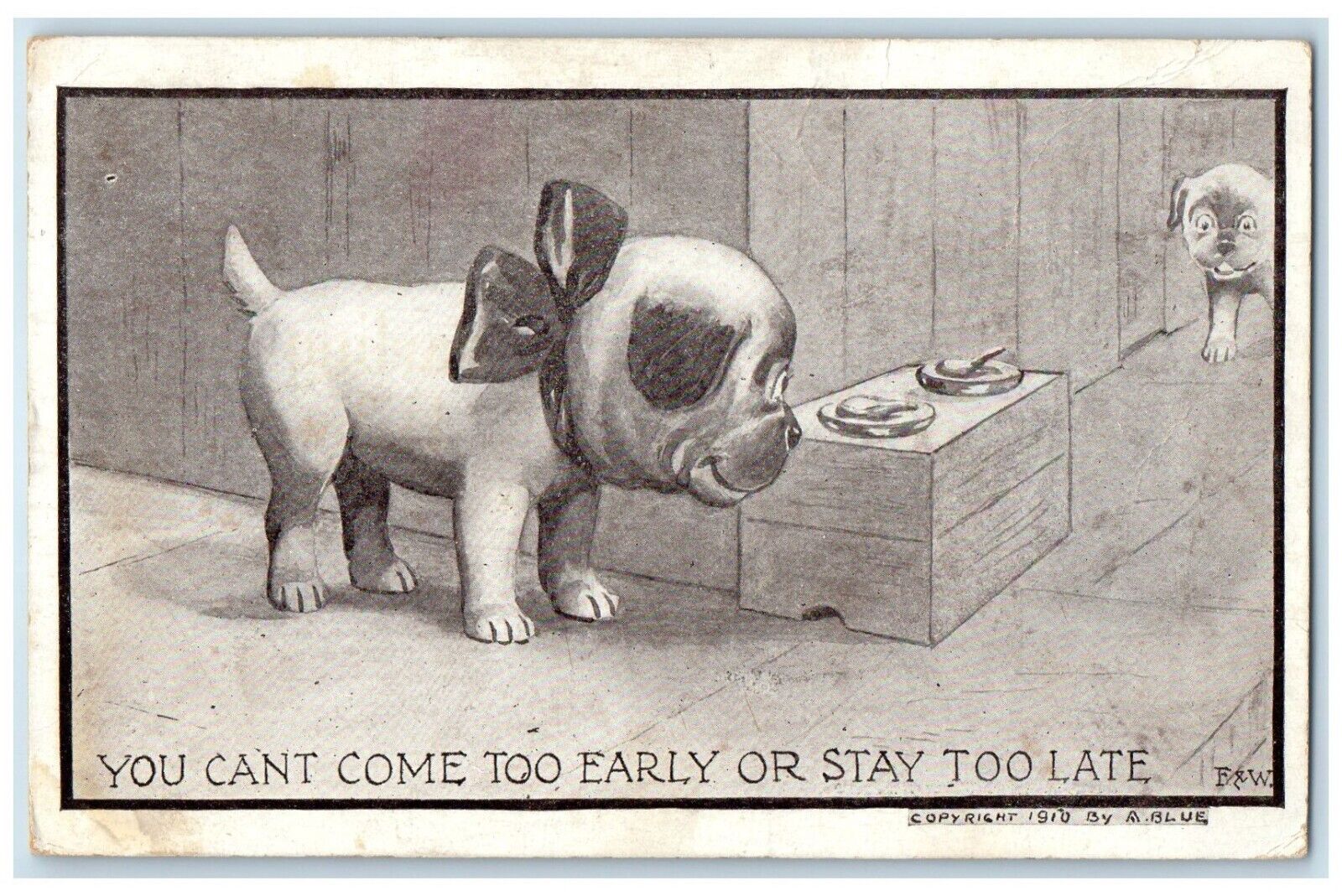 1910 Cute Dog Puppies Coatesville Pennsylvania PA Posted Antique Postcard