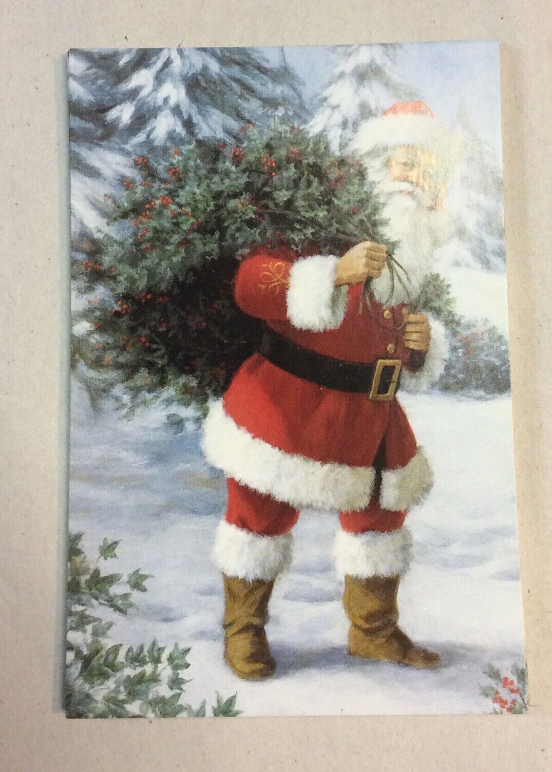 Vintage Lot Of 19 Season Greetings Cards( Santa Carrying Christmas Tree)