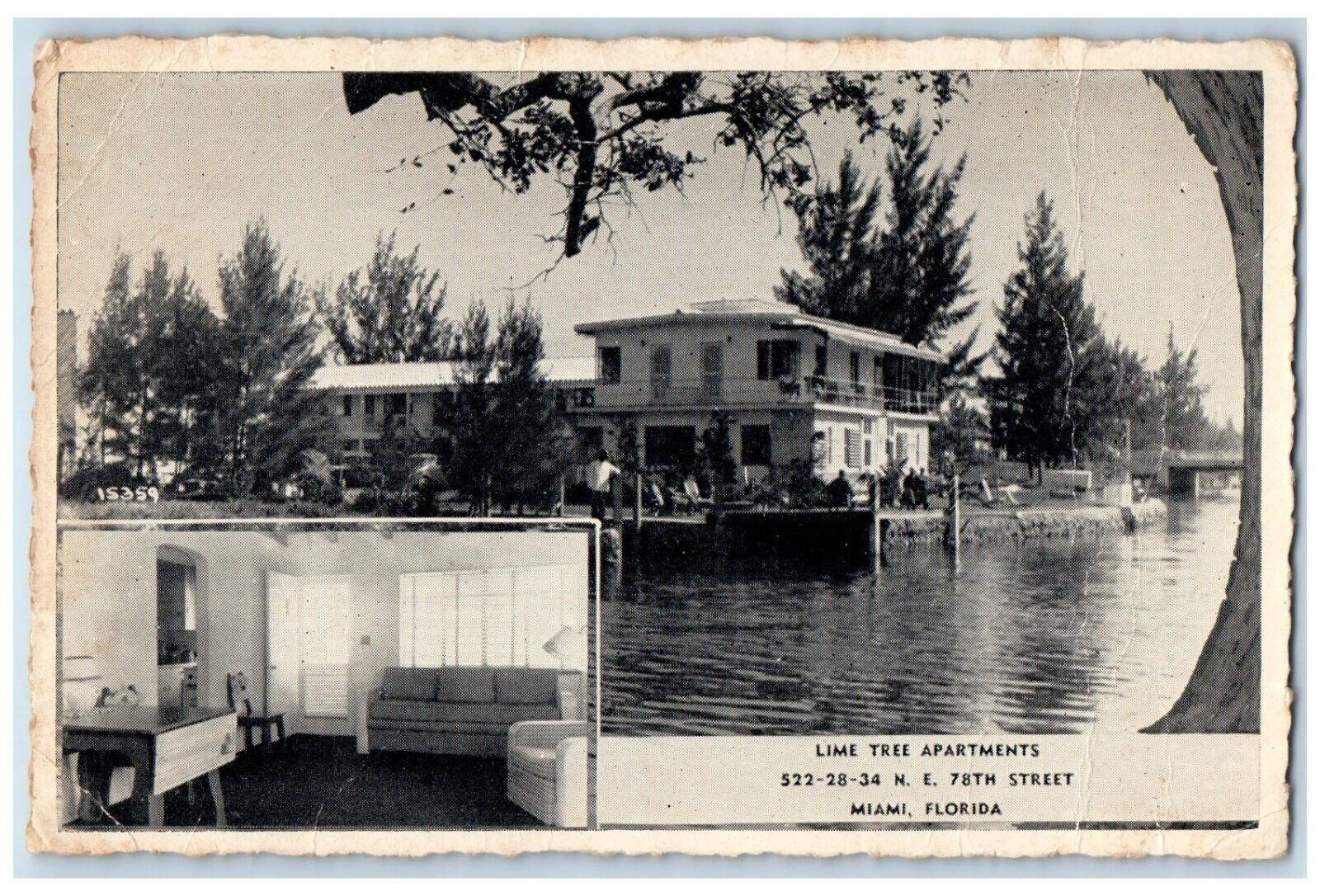 c1940 Lime Tree Apartments Multi-View Miami Florida FL Antique Vintage Postcard