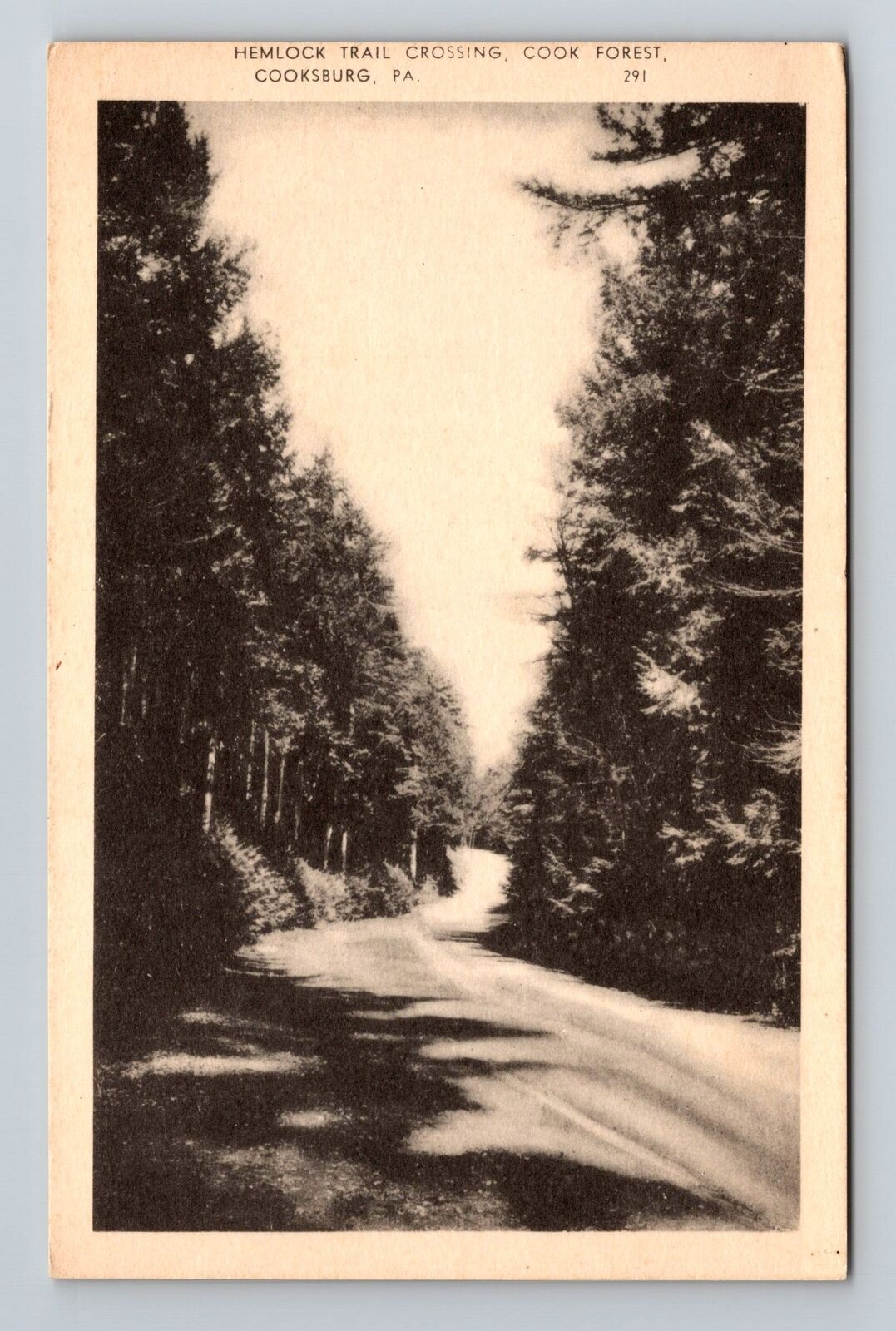 Cooksburg PA-Pennsylvania, Hemlock Trail Crossing Cook Forest Vintage Postcard