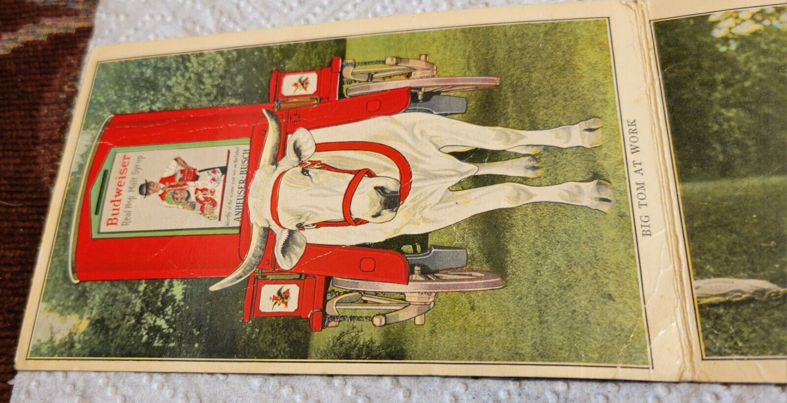  Antique ANHEUSER-BUSCH ST. LOUIS MO. BIG TOM OX  Tri-fold Postcard AS IS KB1 