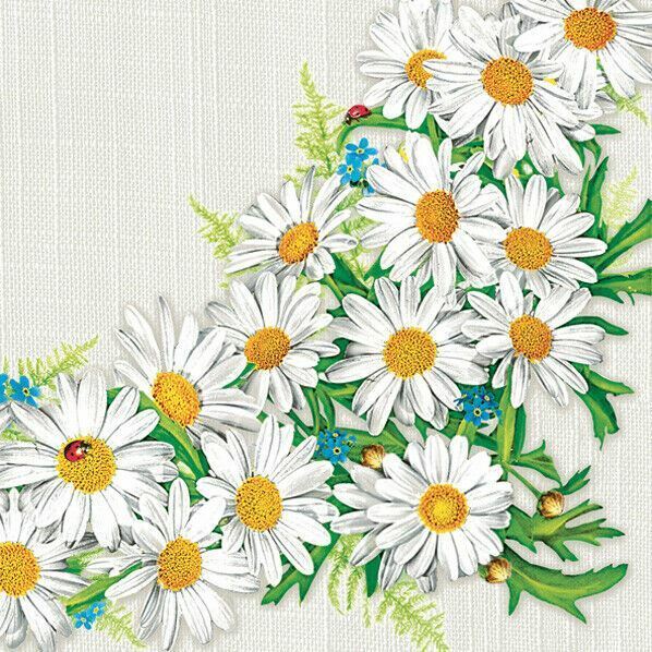 Two Individual Paper Luncheon Decoupage Beautiful Napkins Daisy Flowers Lady Bug