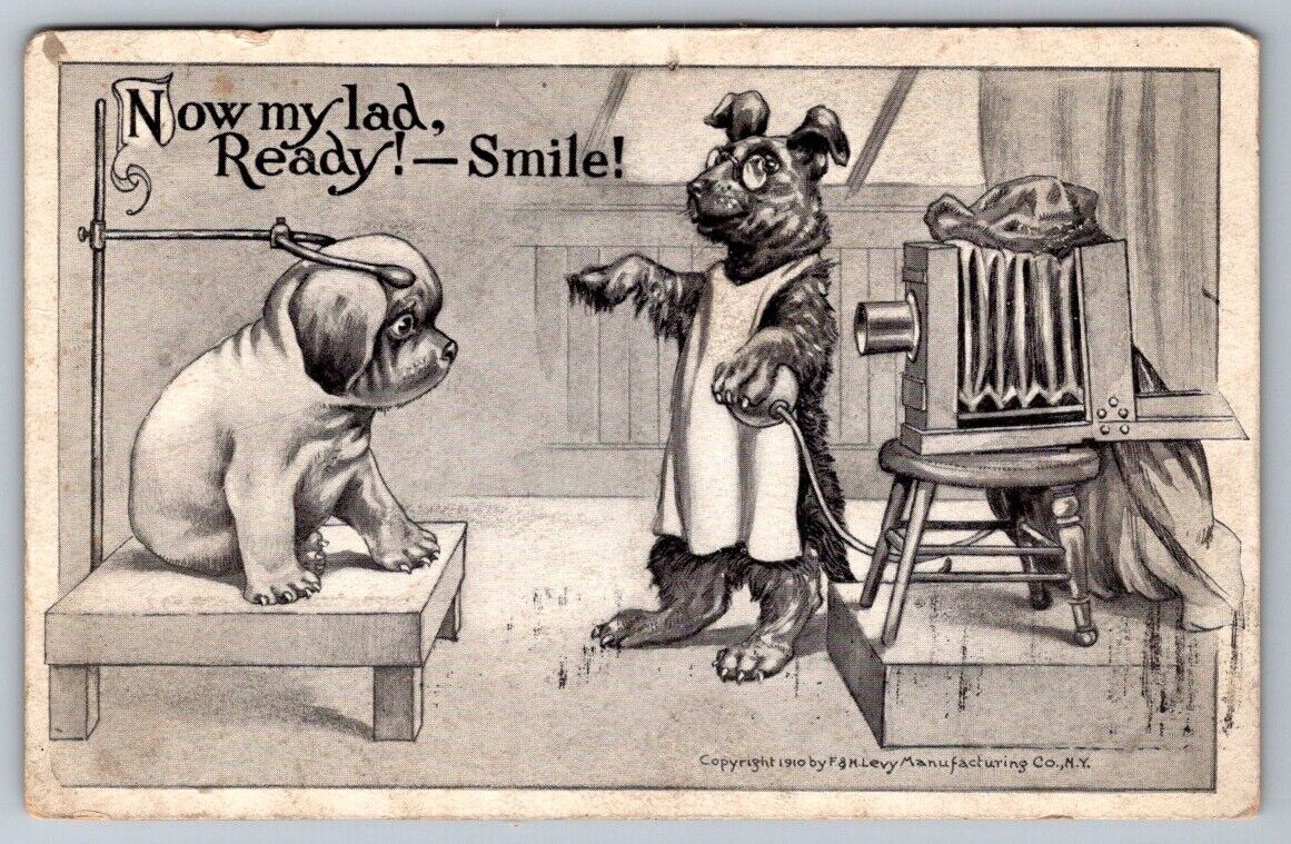 Humor Postcard Fancy Dog Photographer Puppy Getting Picture Taken F&H LEVY NY
