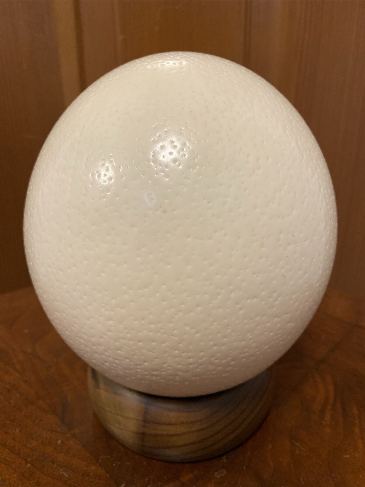 Large Ostrich Egg Hollowed out w/ Small hole 6.5” X 6” Easter~Art