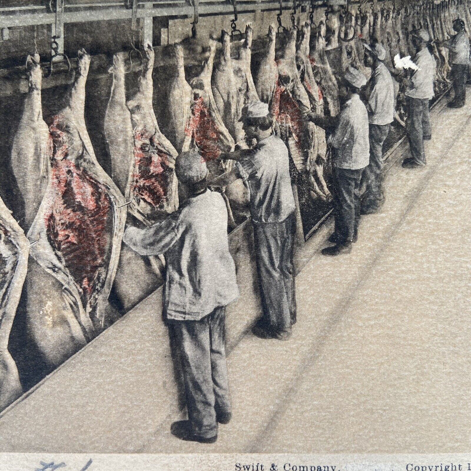 Postcard TX Fort Worth Swift & Company Meatpacking Plant Pork Dressing 1908