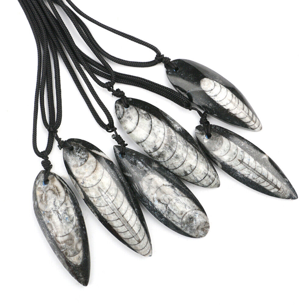 Natural Fossil Orthoceras Morocco Pendant Necklace with Black Braided Rope Chain