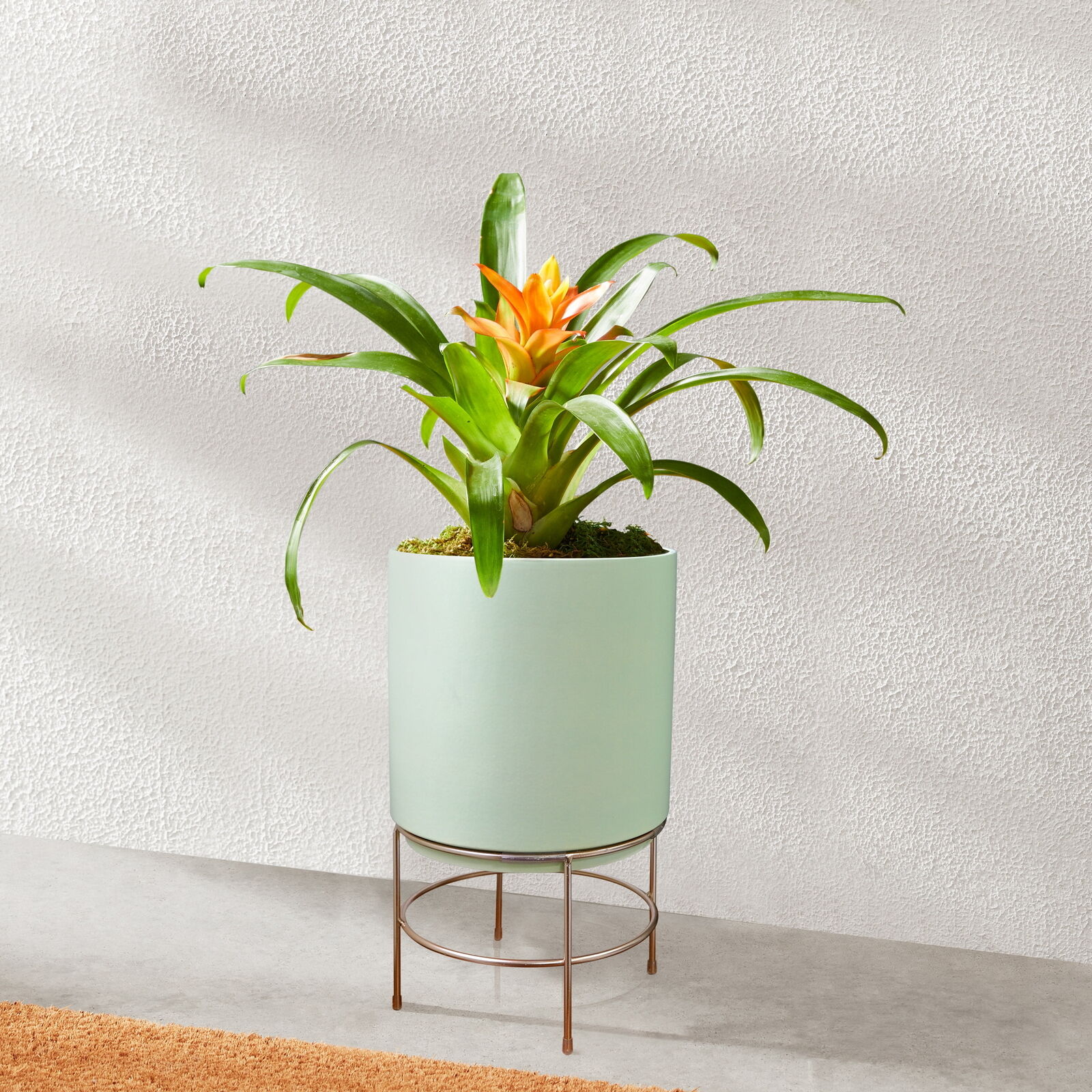 10 in Dia Green Ceramic Planter with Gold Stand