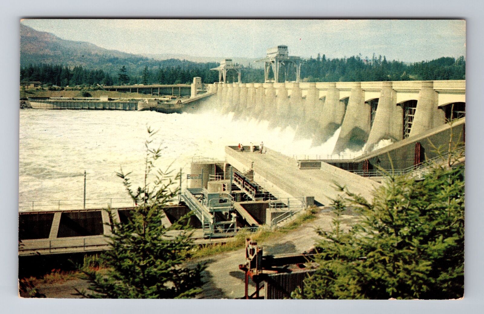 OR-Oregon, Aerial Bonneville Dam, Antique, Vintage Souvenir Postcard