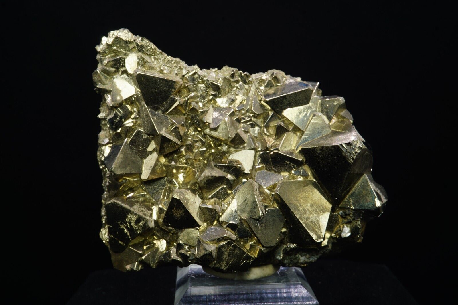 Pyrite / Fine Mineral Specimen / Huanzala Mine, Peru