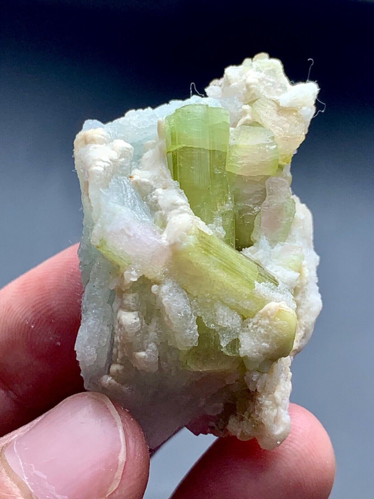 203CT Watermelon Tourmaline Crystals Bunch With Albite & Quartz From Afghanistan