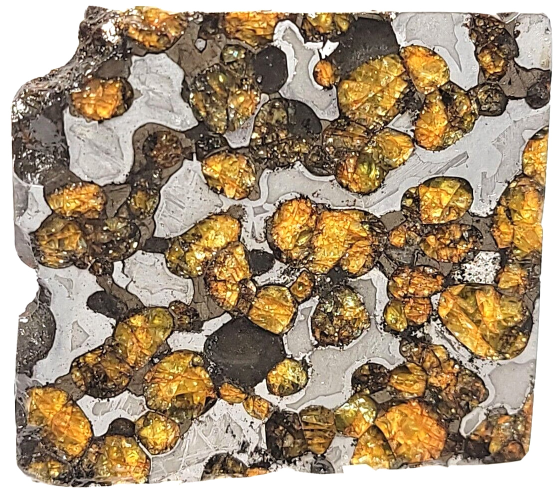 Brenham 69g *THICK* Partial Slice, Etched (1) Side, Sealed, Pallasite PMG-an