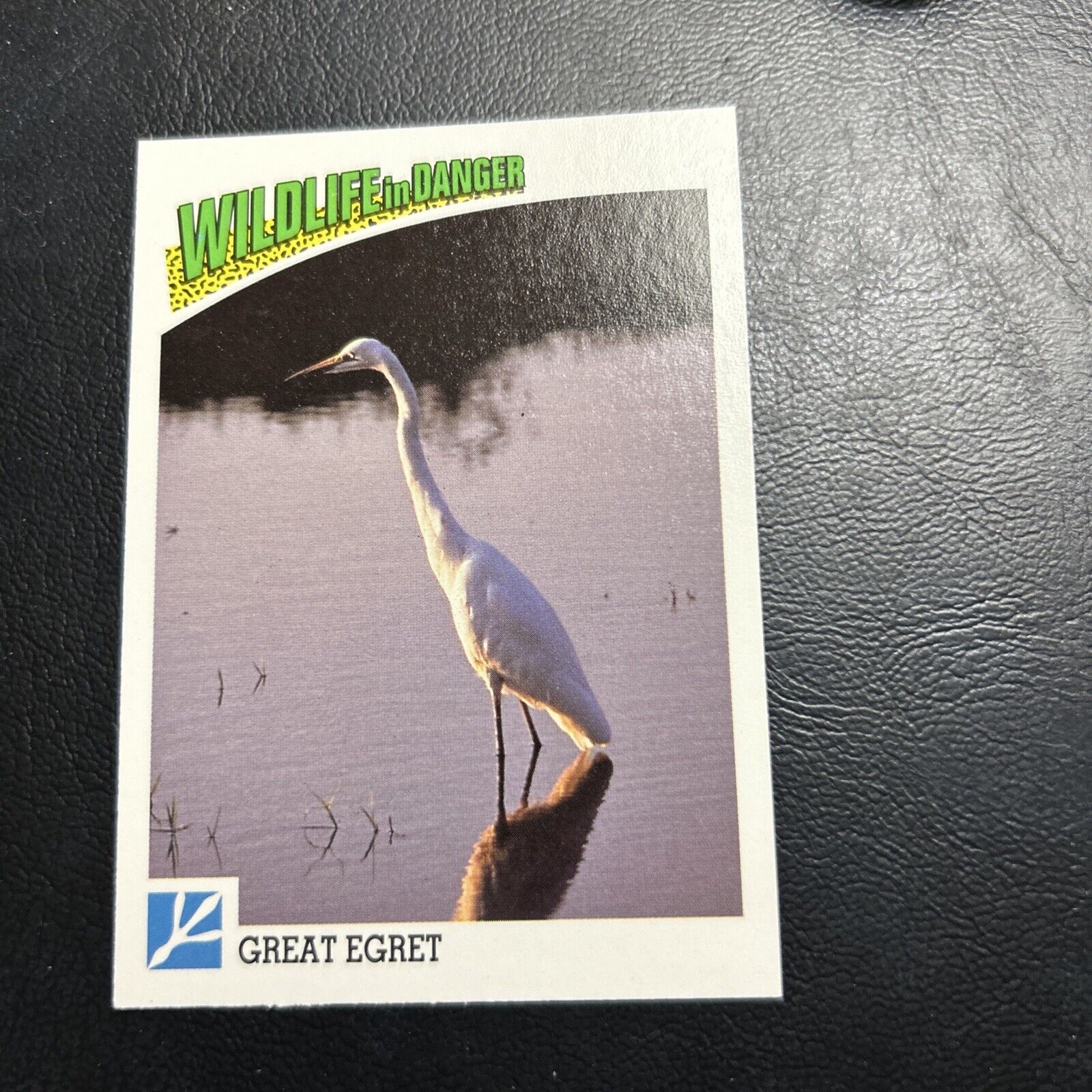 B30s Wildlife In Danger 1992 WWF World Fund #71 Great Egret Bird
