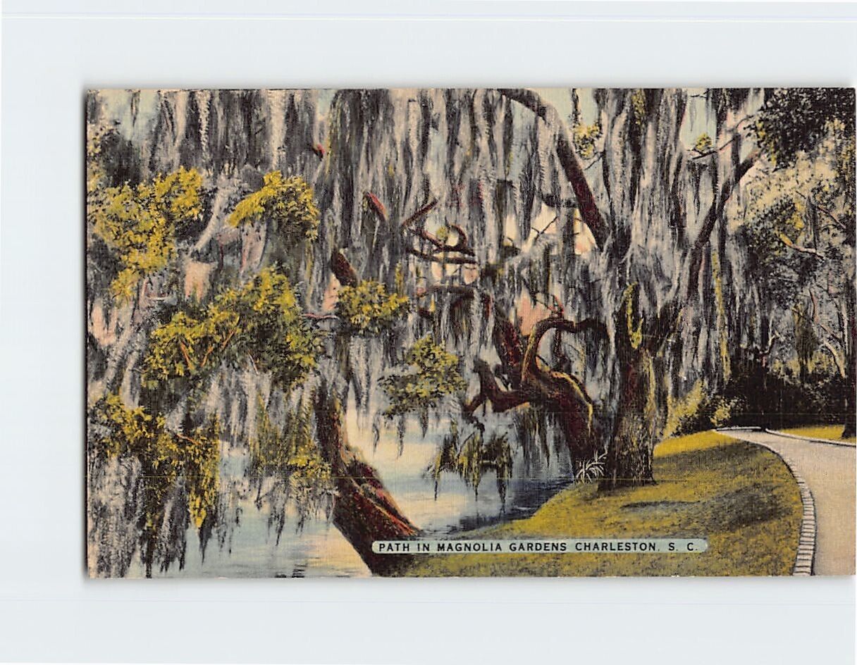Postcard Path In Magnolia Gardens, Charleston, South Carolina