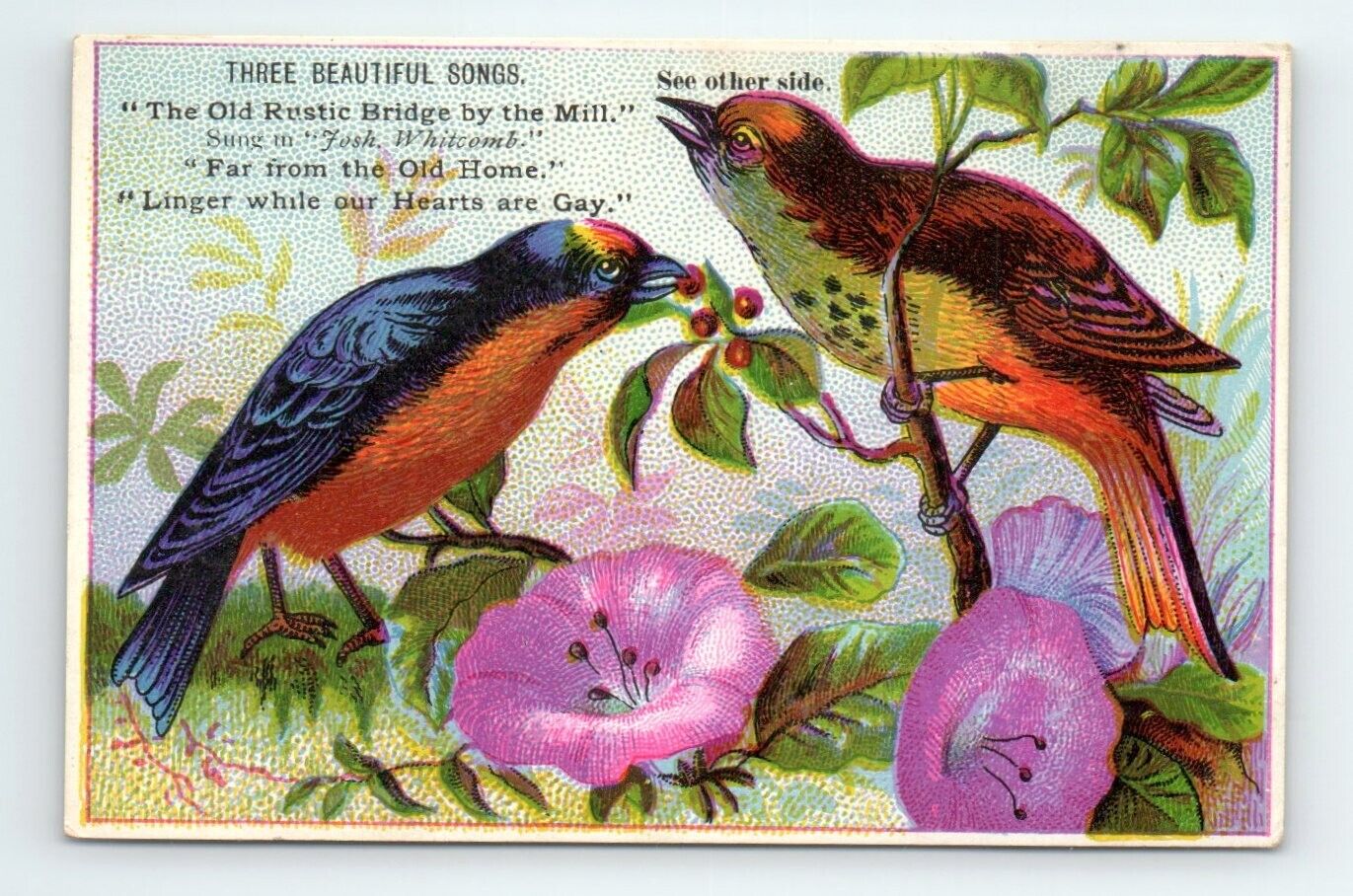 c.1885 Rustic Bridge Old Home Song Trade Card Sheet Music Staff Beautiful Birds