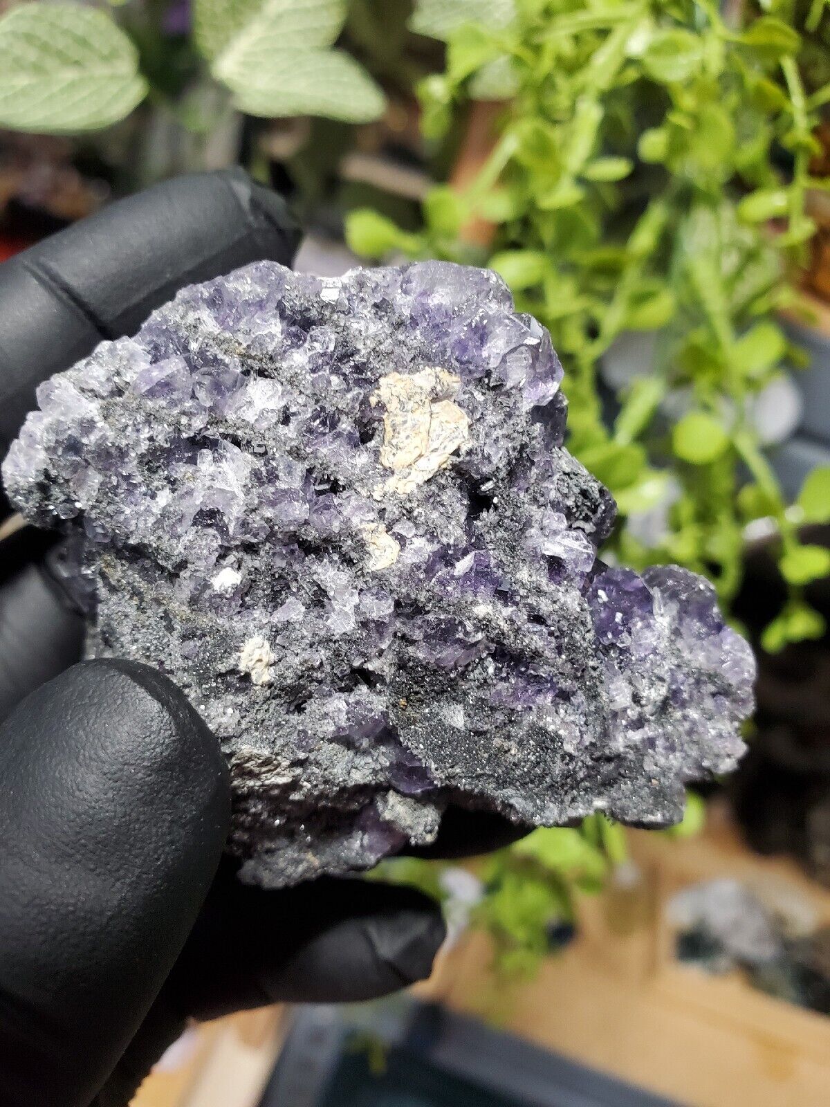 102G Rare Transparent purple Cube Fluorite Mineral Crystal Specimen/China